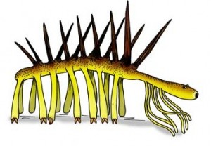 Hallucigenia sparsa by Apokryltaros